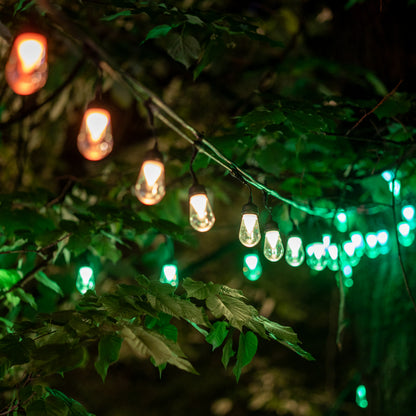 S14 Bulbs String PLUS